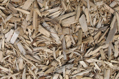 biomass boilers Fasach